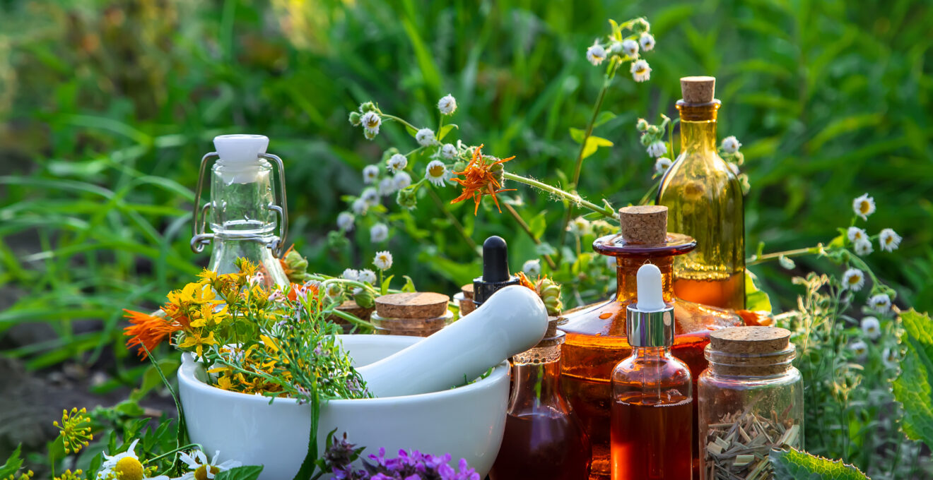 phytotherapie