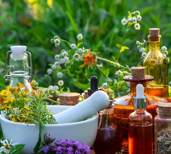 phytotherapie